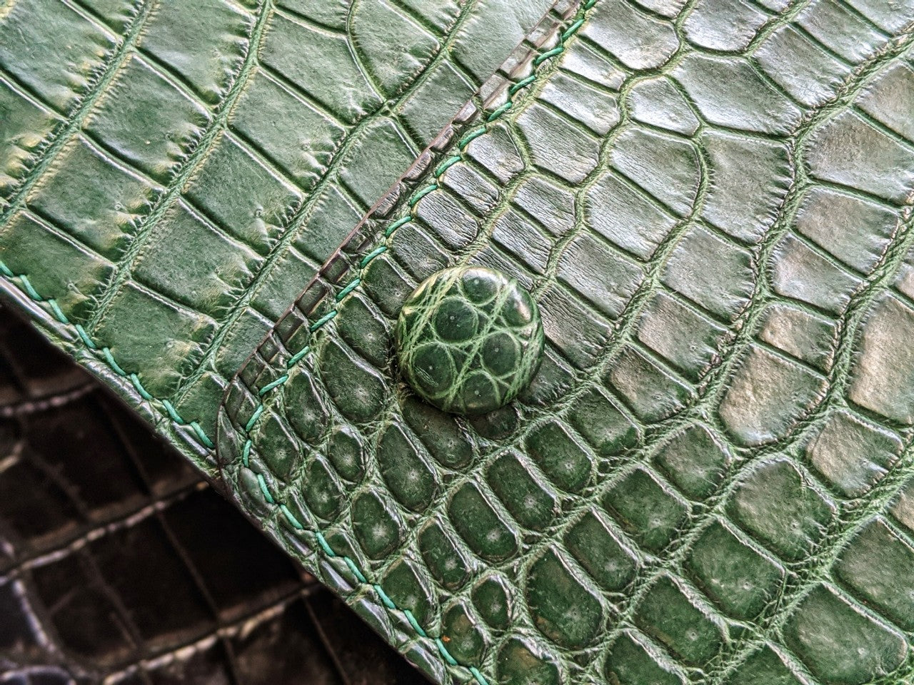 Green Alligator Pen Case