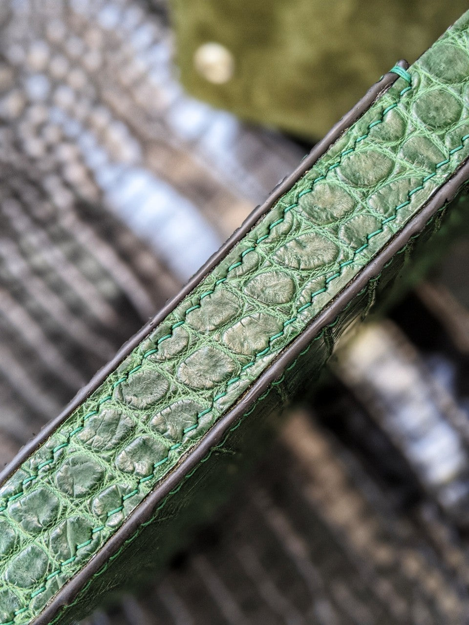 Green Alligator Pen Case