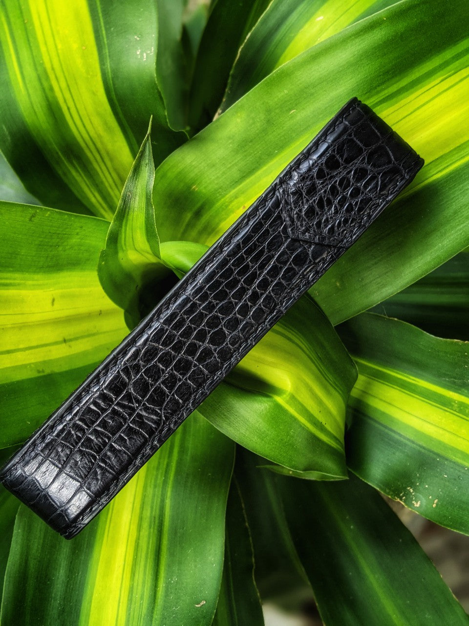 Black Alligator Pen Case