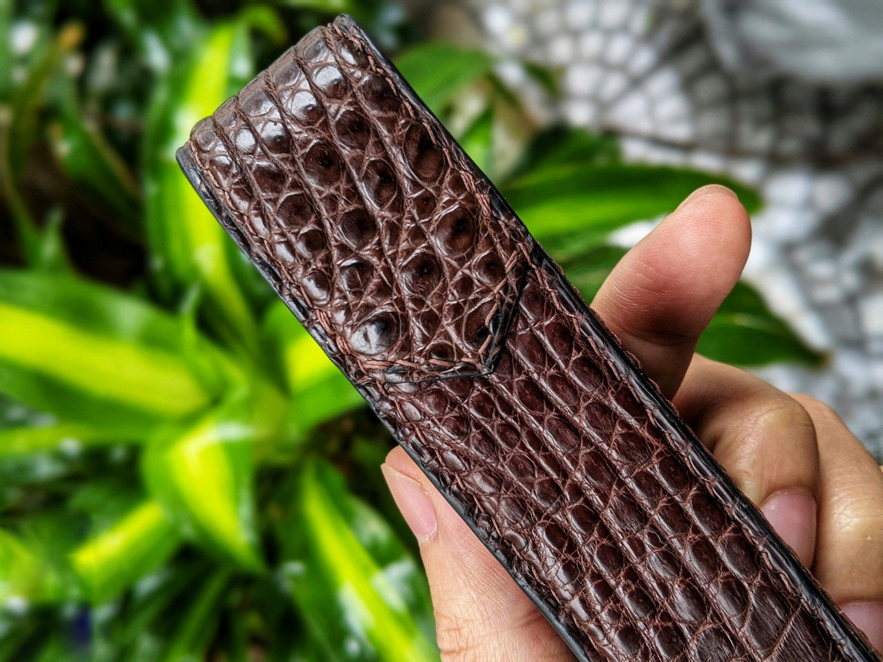 Brown Alligator Pen Case