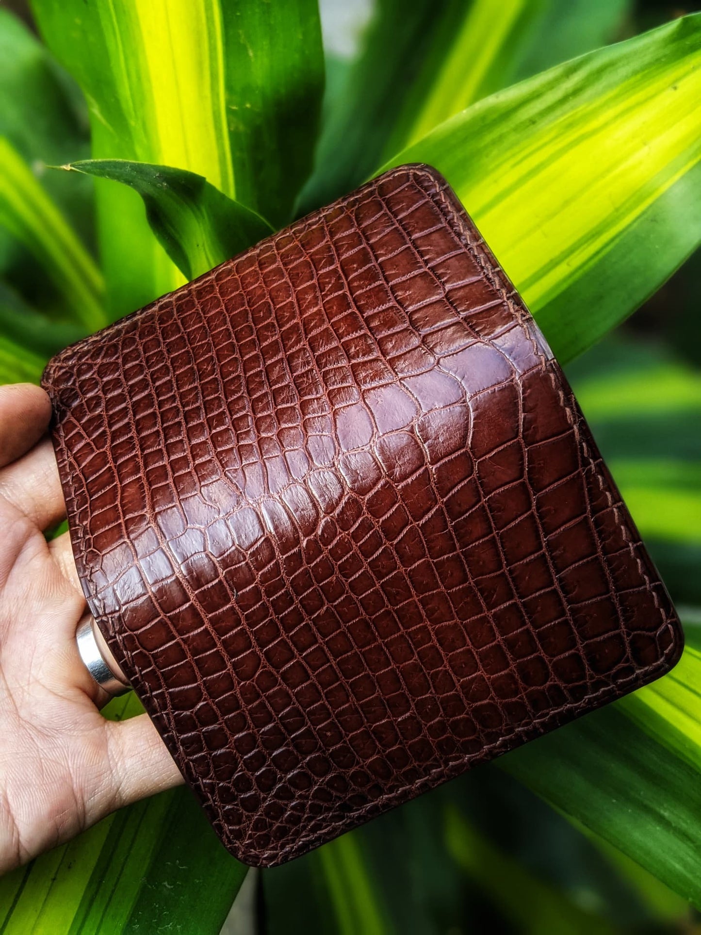 Brown Alligator Card Holder