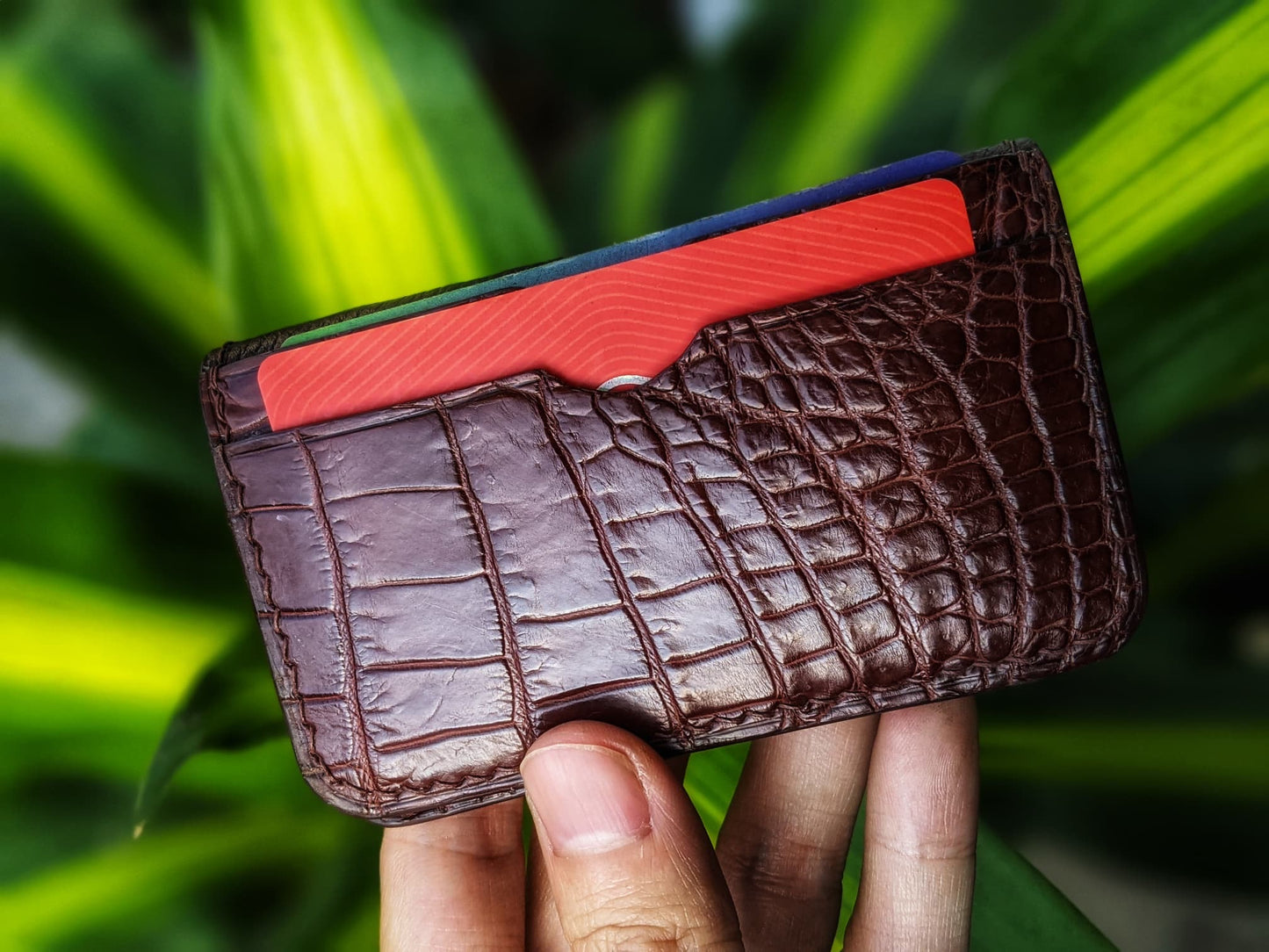 Brown Alligator Card Holder