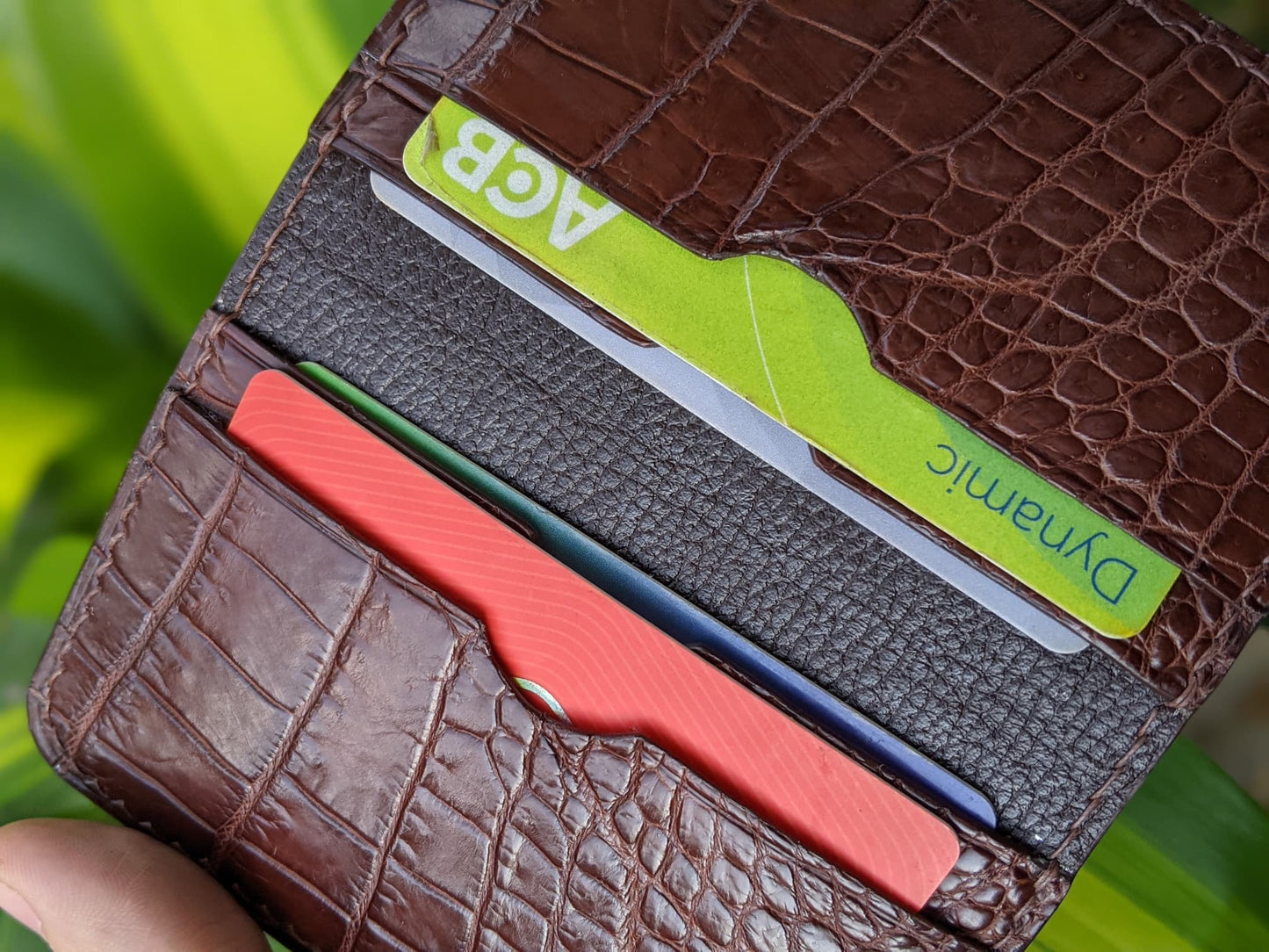 Brown Alligator Card Holder