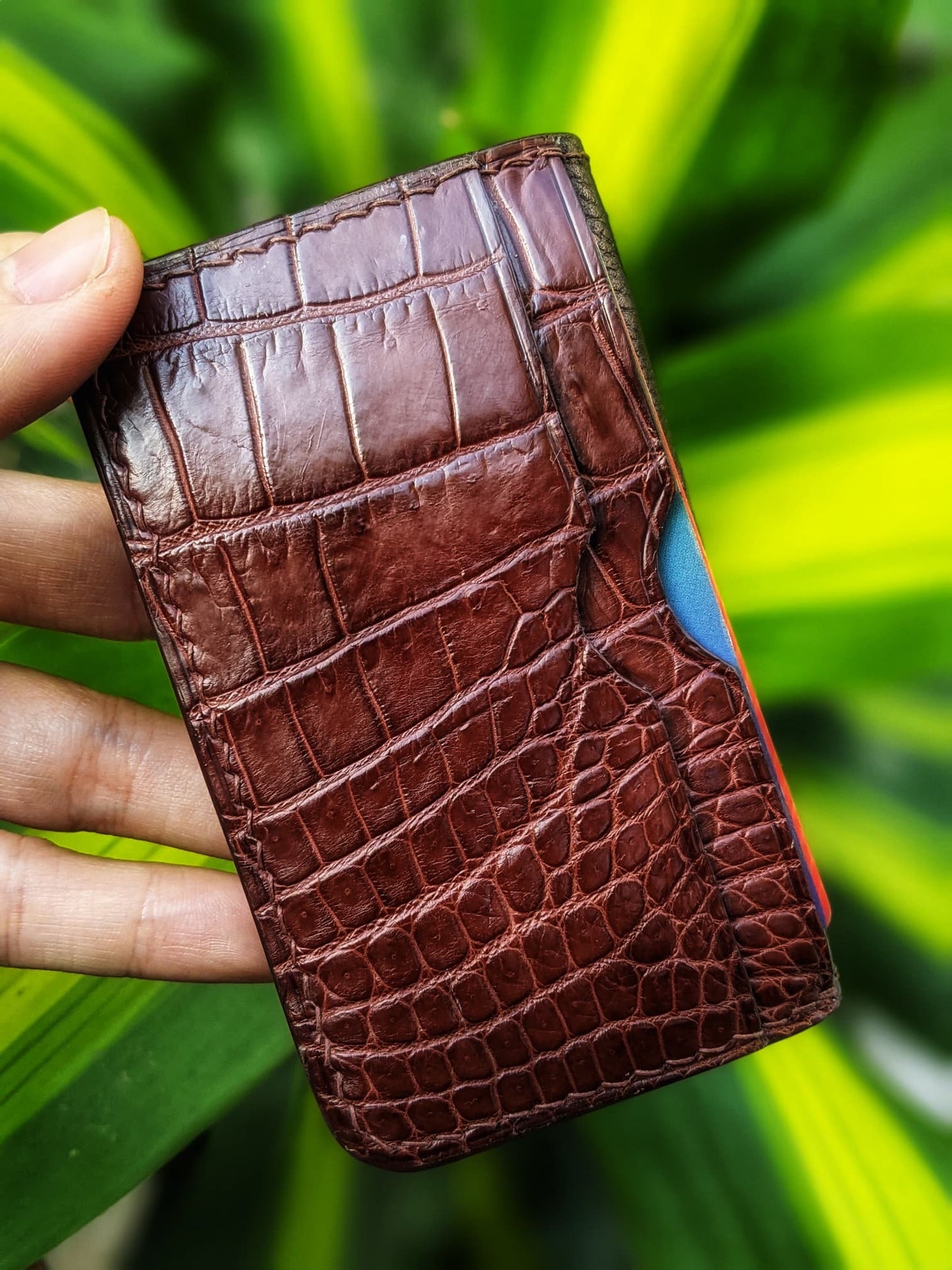 Brown Alligator Card Holder