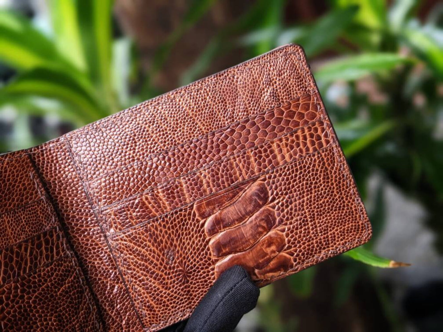 Brown Ostrich Leg Leather Wallet