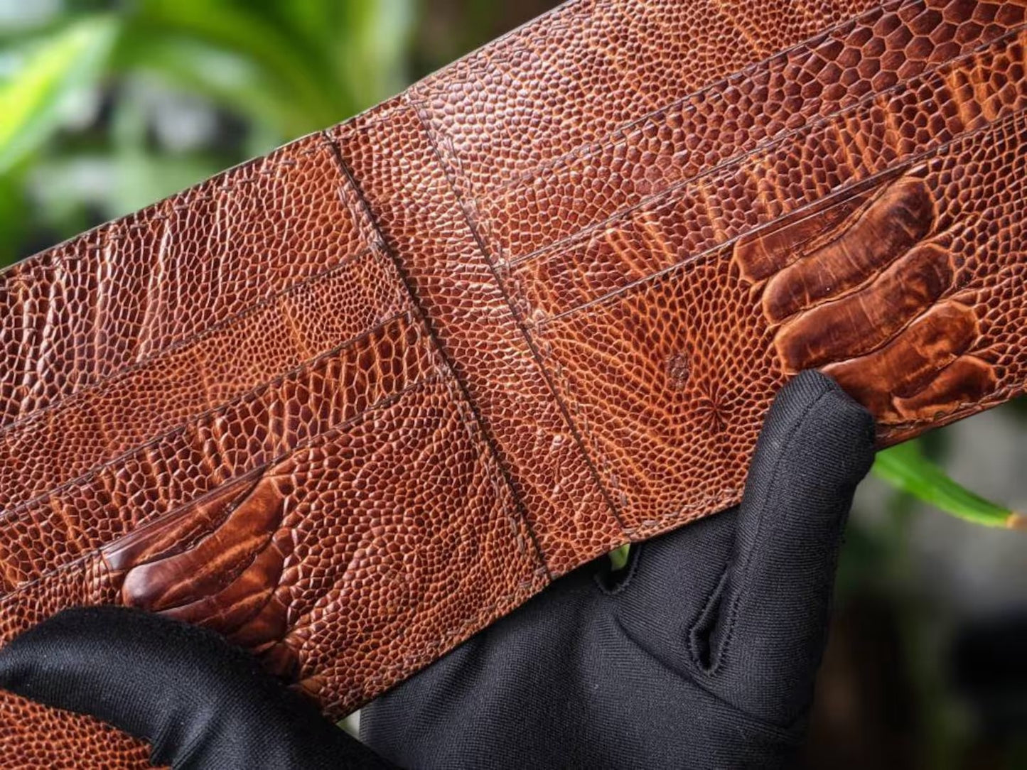 Brown Ostrich Leg Leather Wallet