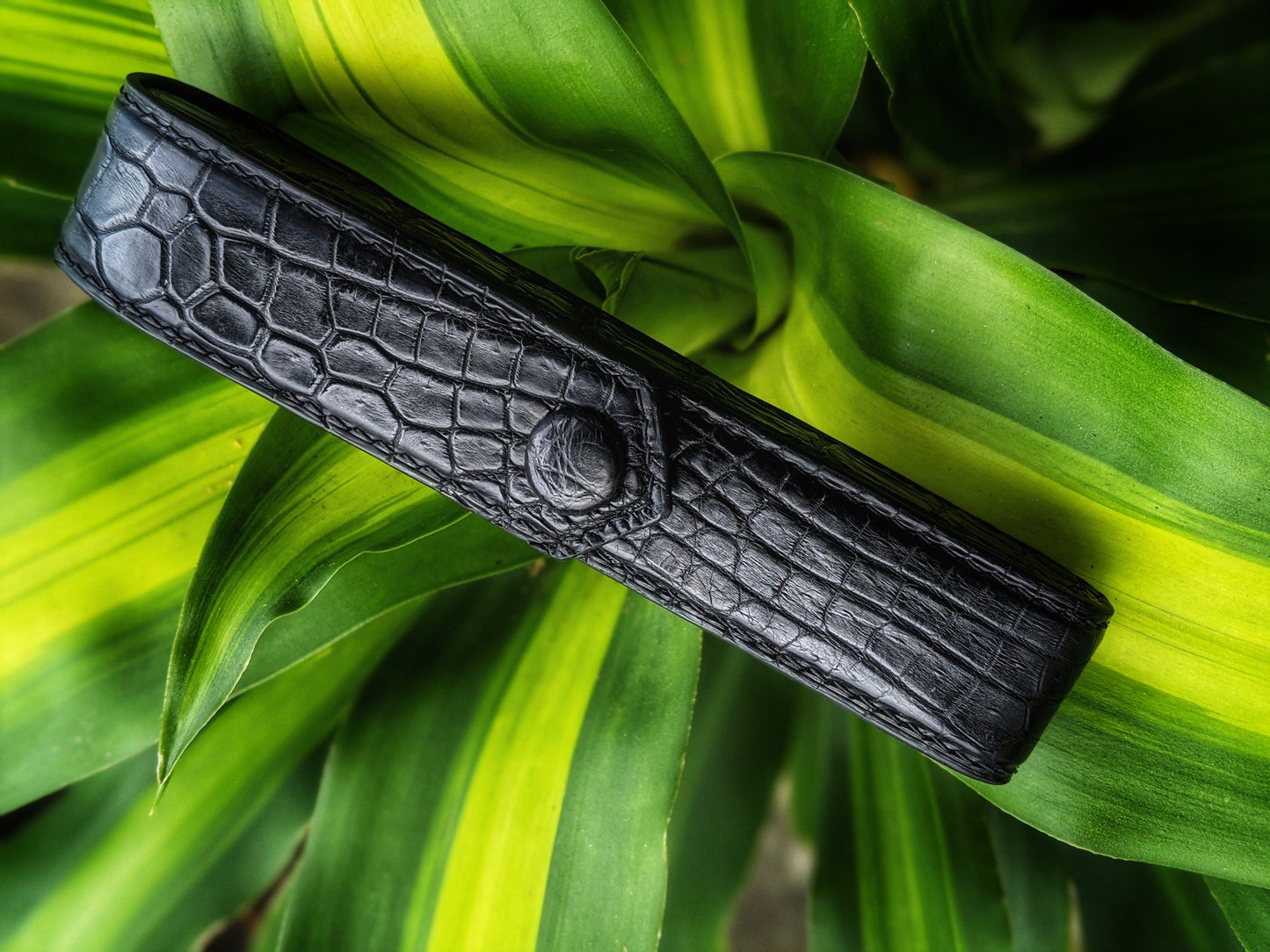 Black Alligator Pen Case