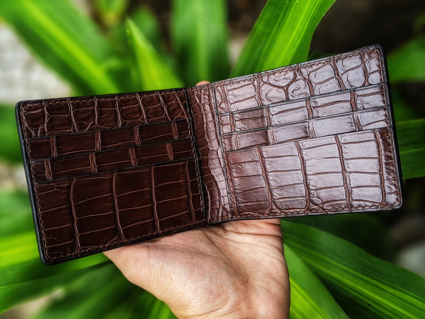 Brown Alligator Leather Wallet
