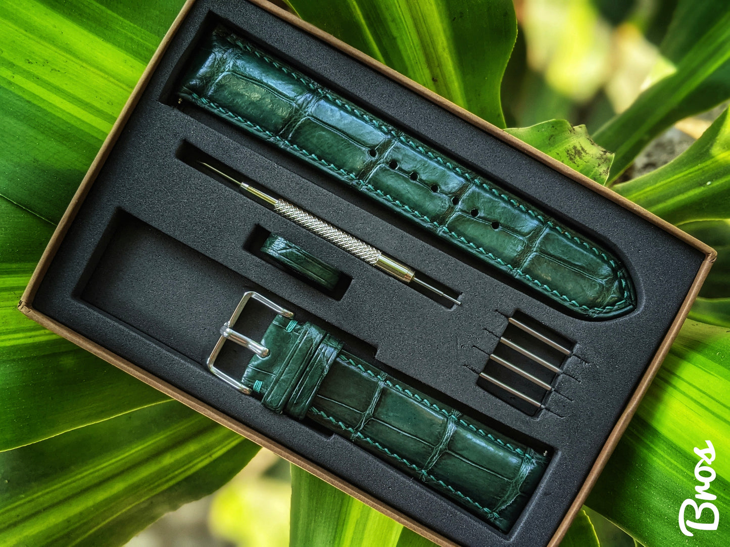 Green Alligator Watch Straps