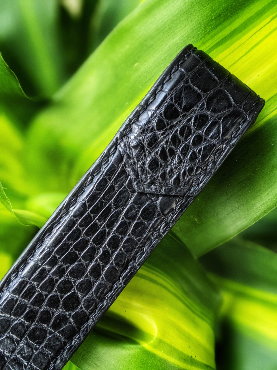 Black Alligator Pen Case
