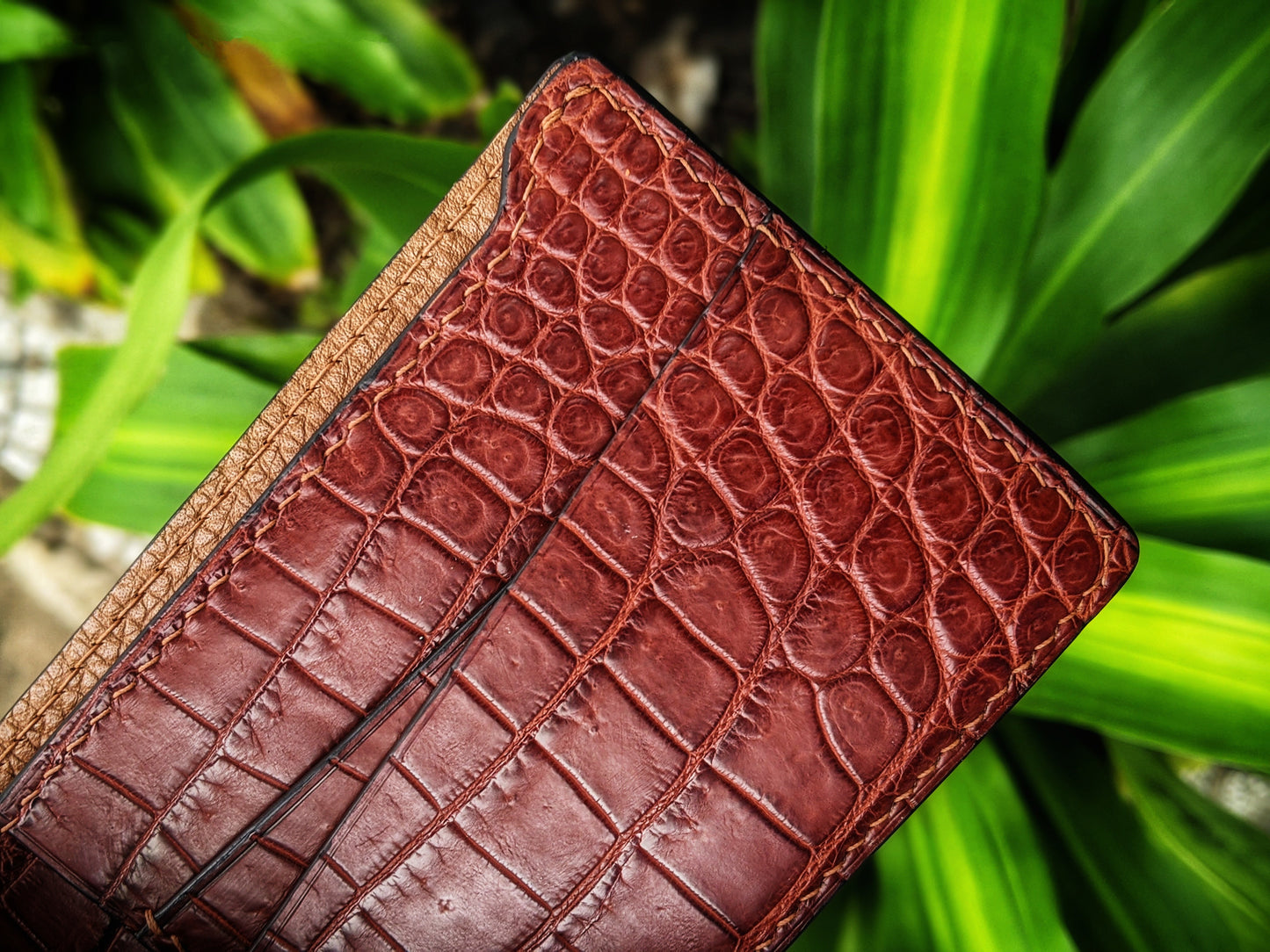 Minimalist Cognac Alligator Leather Wallet