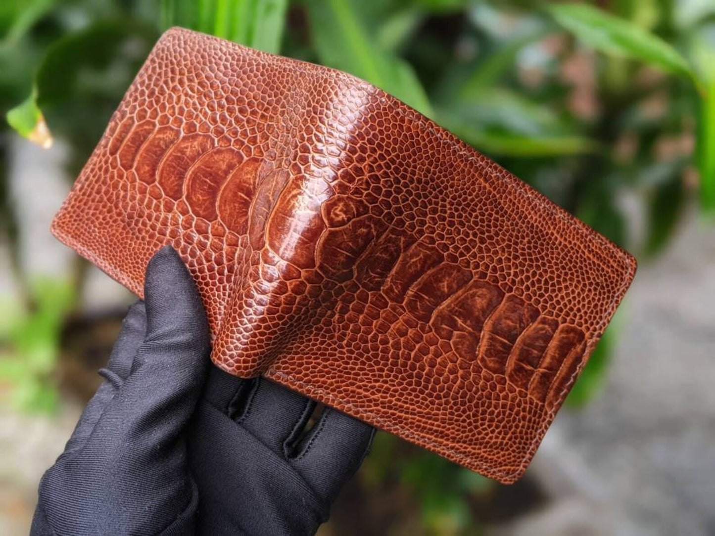 Brown Ostrich Leg Leather Wallet