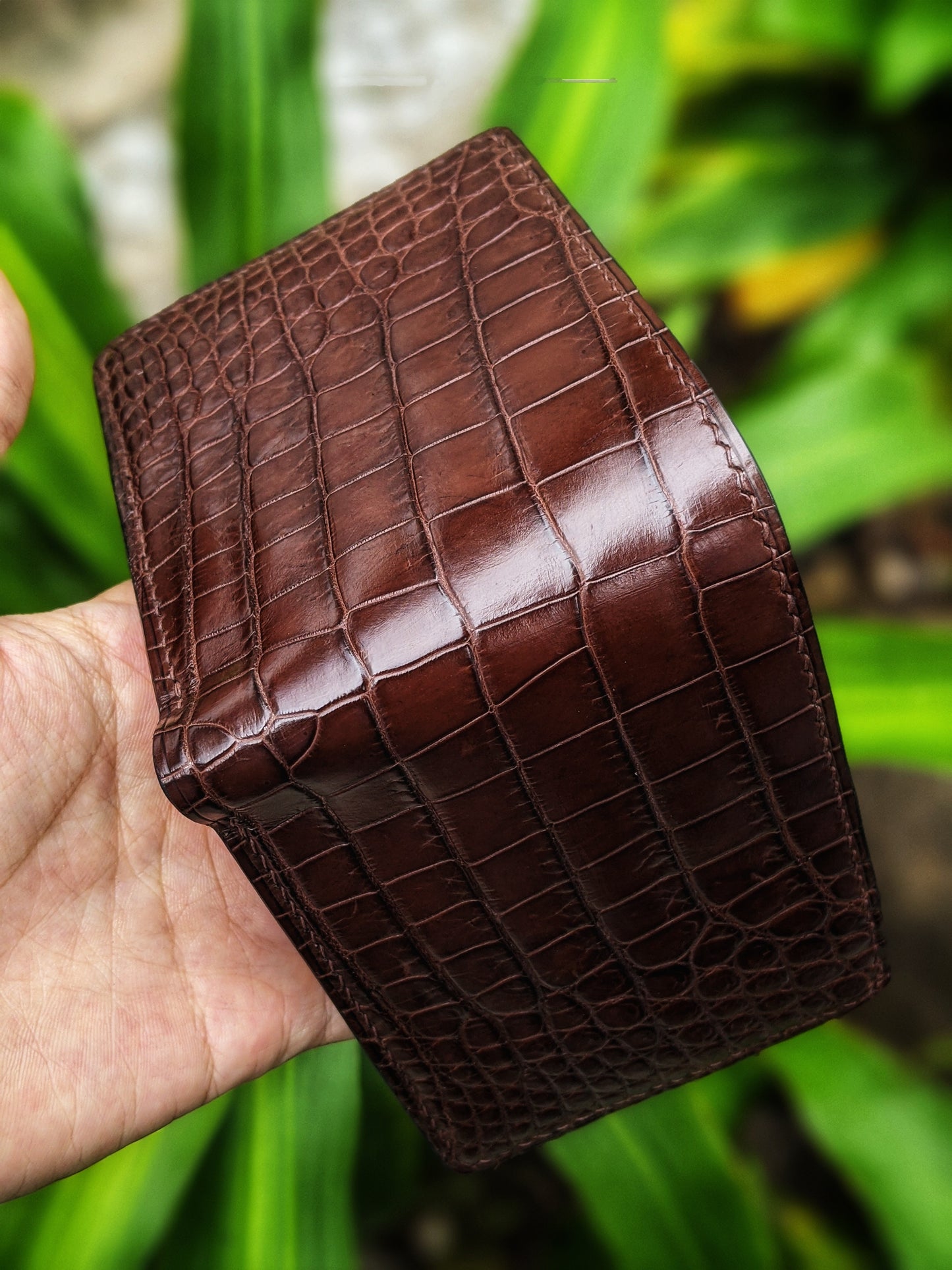 Brown Alligator Leather Wallet