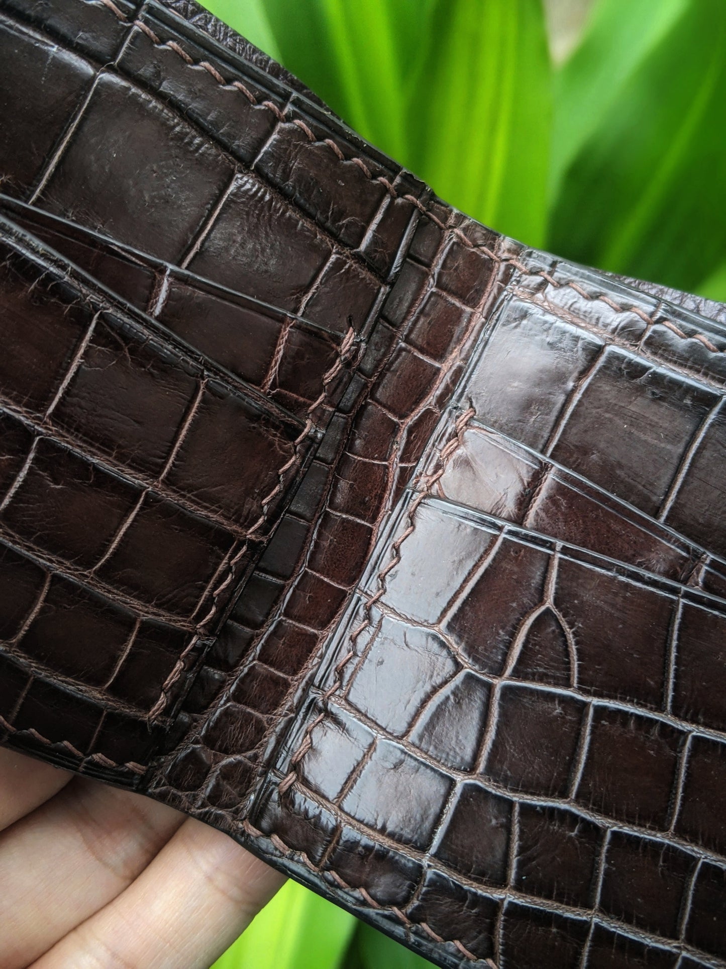 Minimalist Brown Alligator Leather Wallet